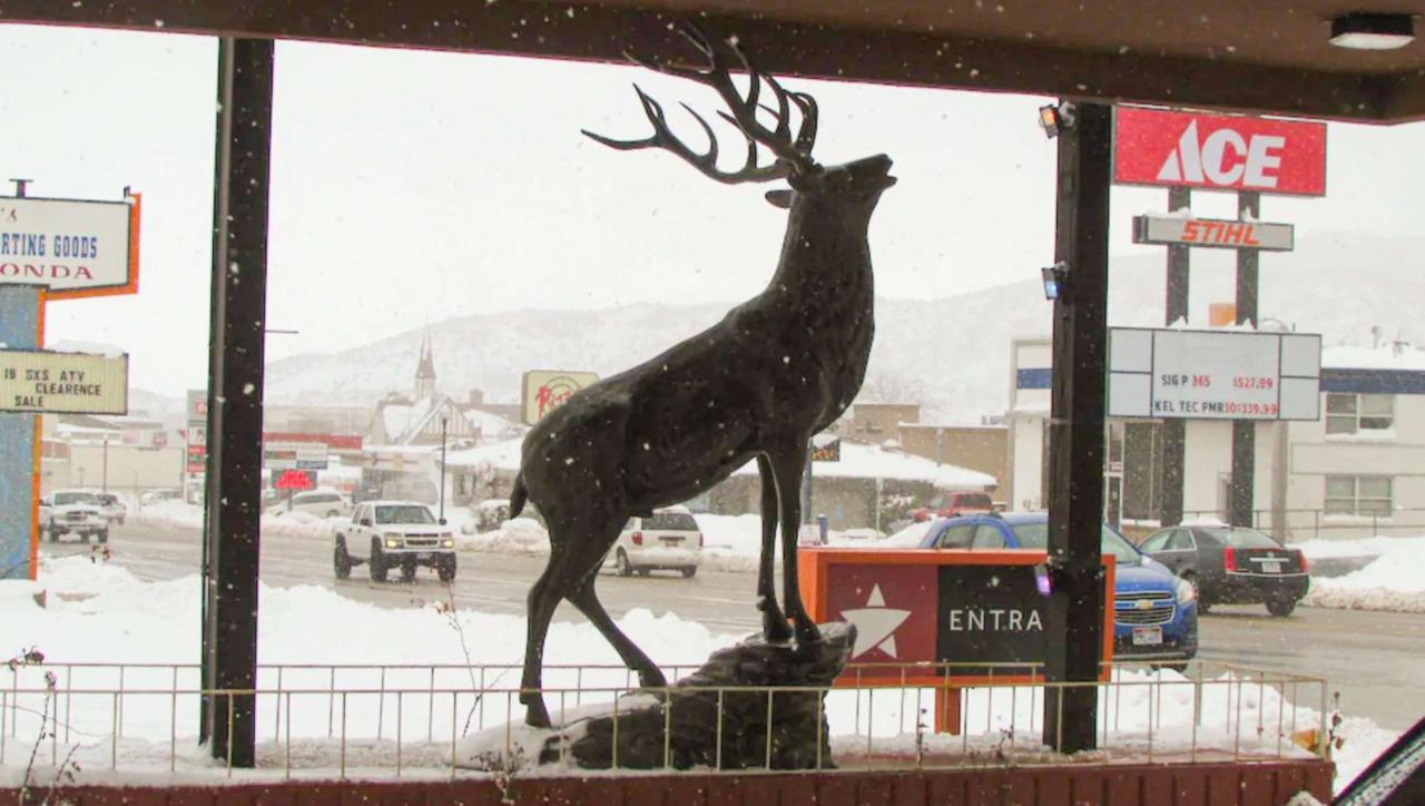 Magnuson Cedar City Dış mekan fotoğraf